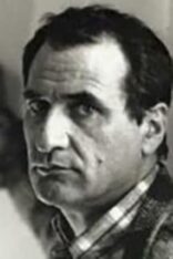 Vincenzo Cerami